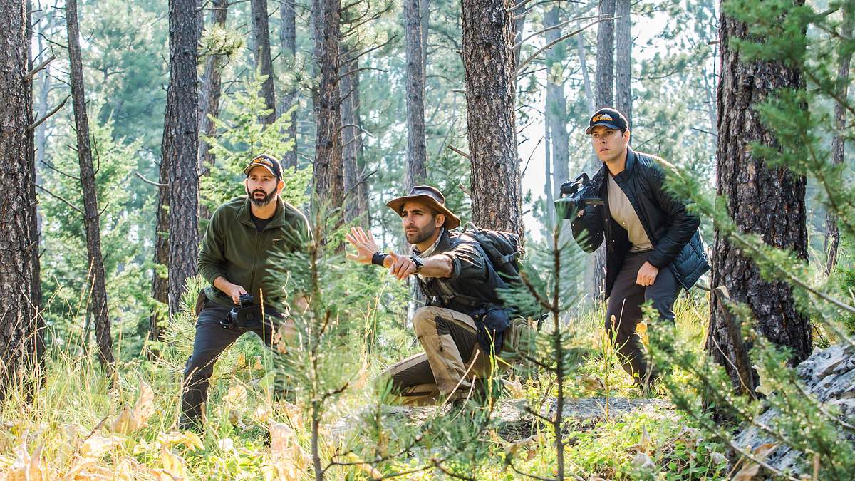 faszinierende tierwelt mit coyote peterson