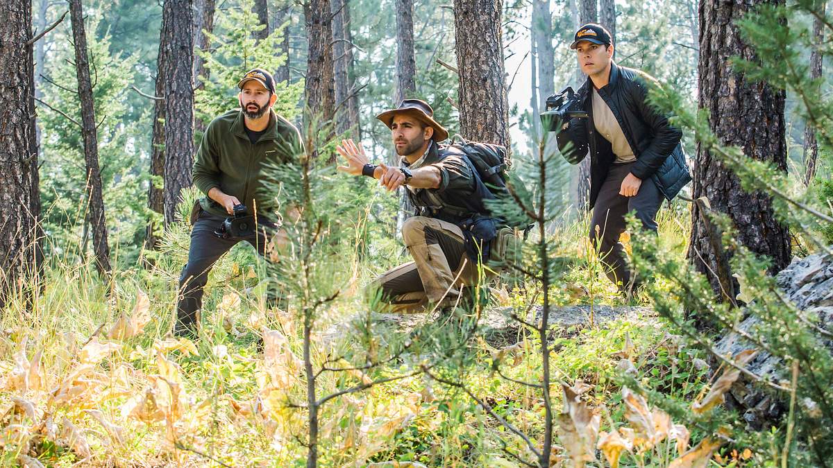faszinierende tierwelt mit coyote peterson