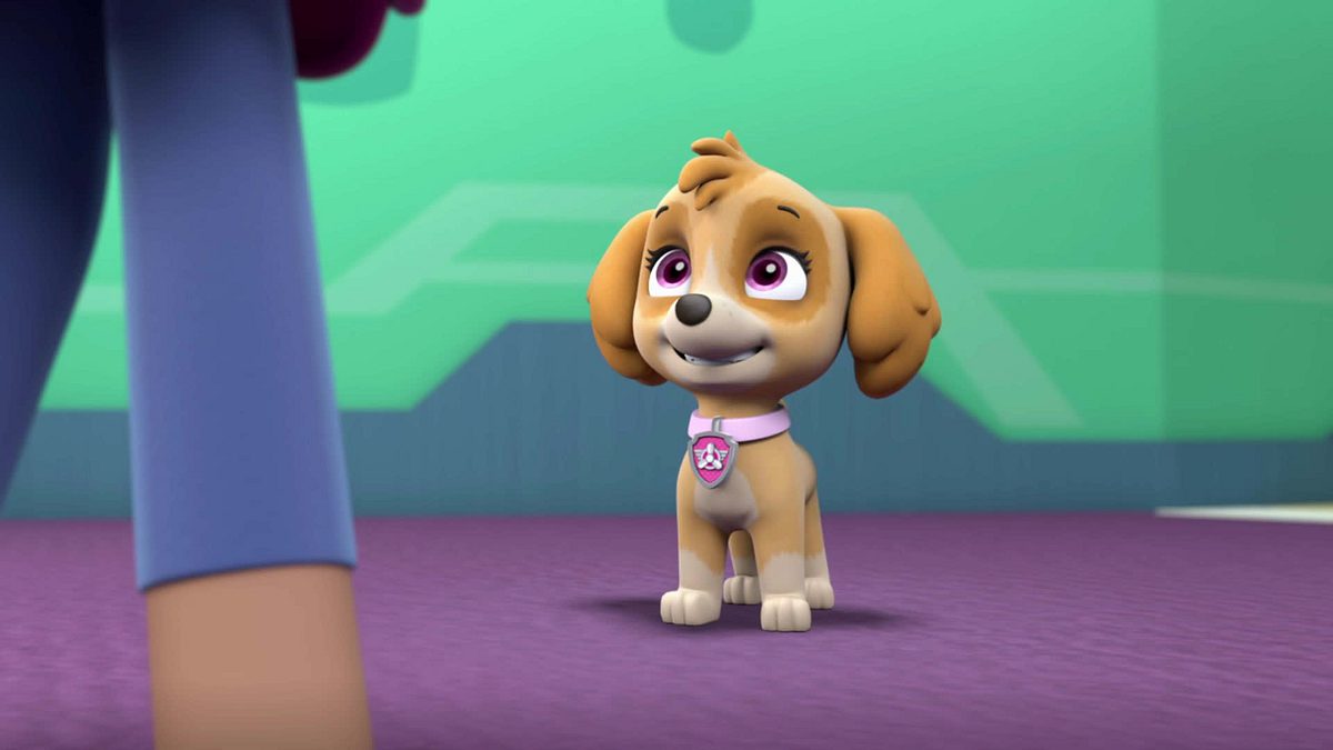 paw patrol - helfer auf vier pfoten
