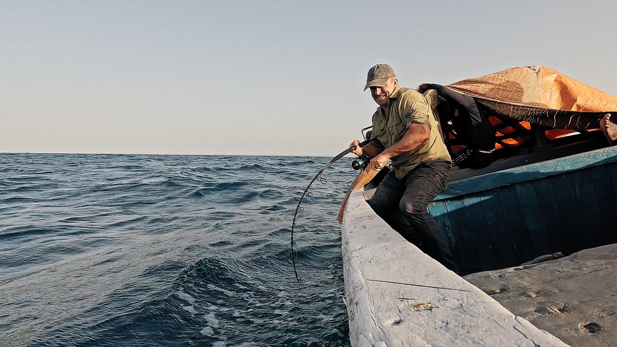 giganten unter wasser - riesenfischen auf der spur