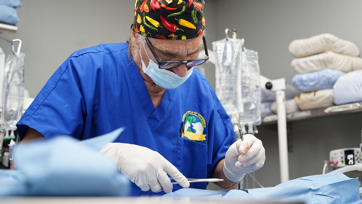 tierarzt dr. jeff