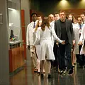 Dr. House Thumbnail