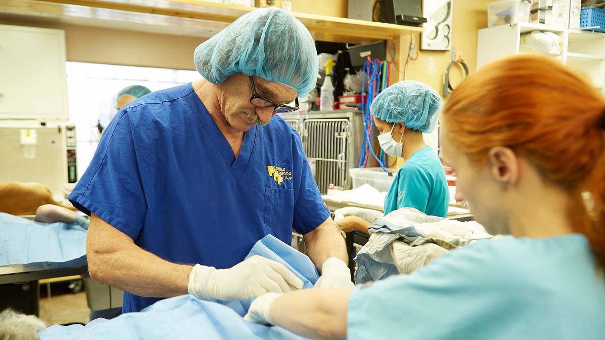 tierarzt dr. jeff