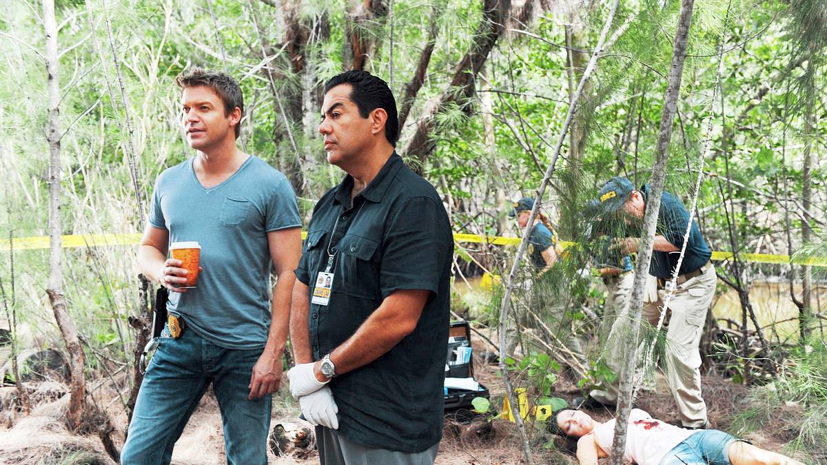 the glades