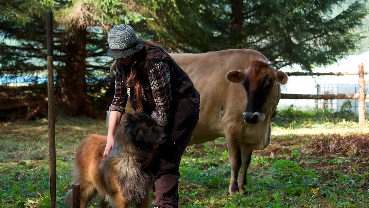 alaskan bush people