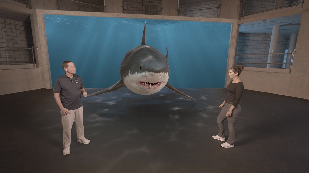 hai-attacken 360°