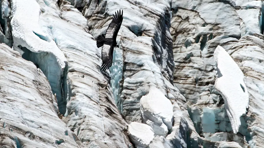 Wildes Patagonien wildes patagonien