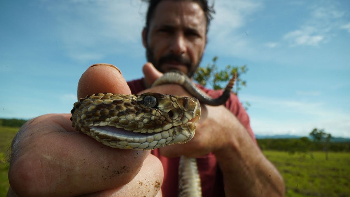 extreme survival mit hazen audel: wettlauf durch den amazonas