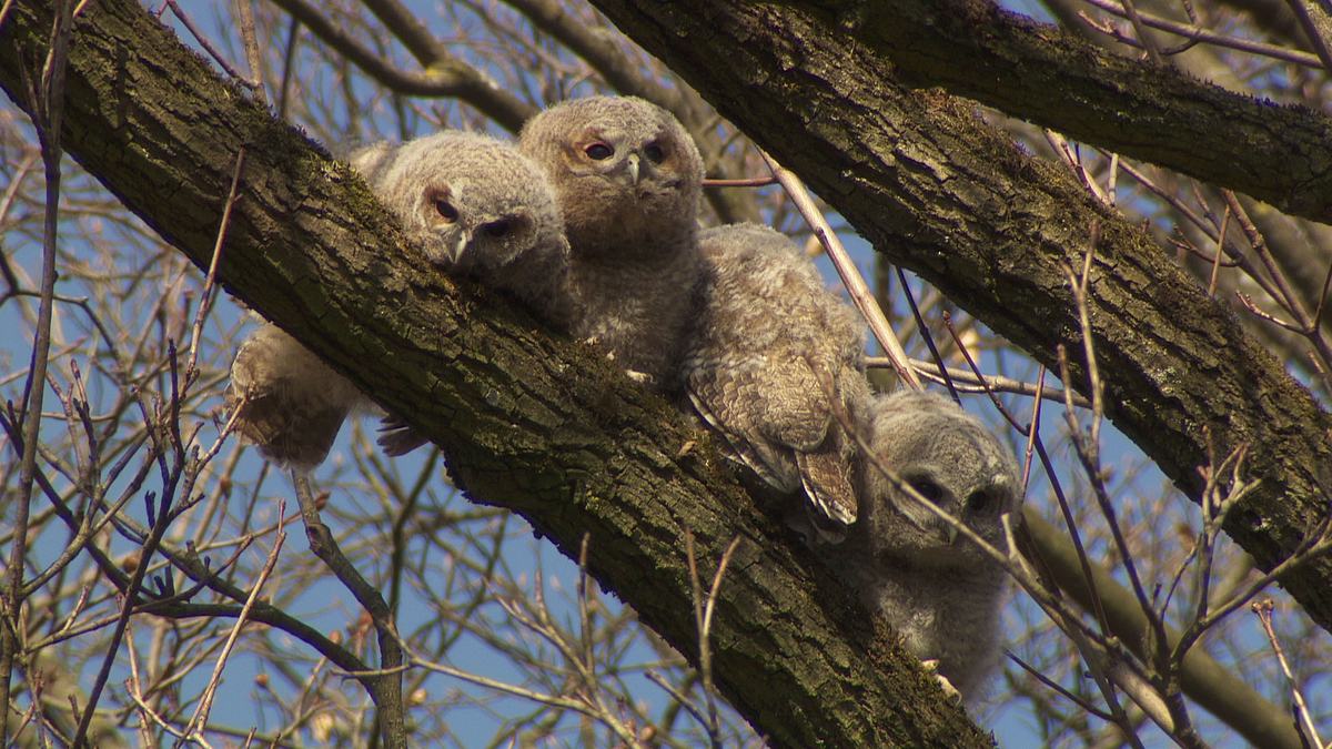 abenteuer wildnis