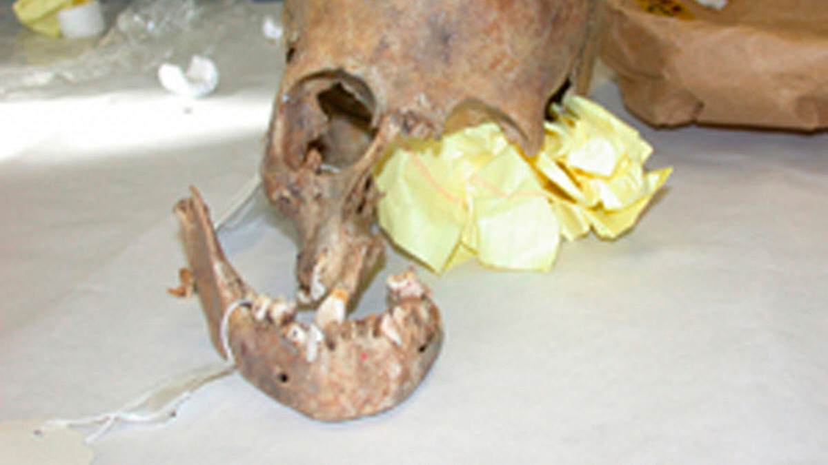 cold case files