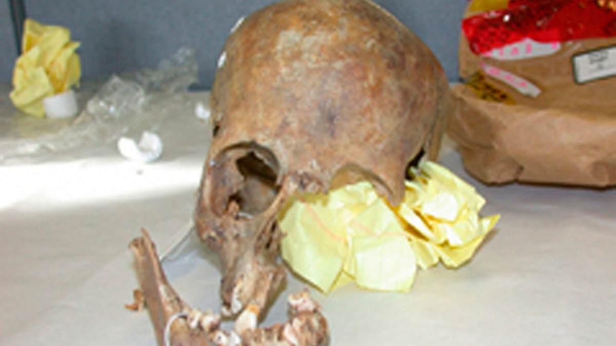 cold case files