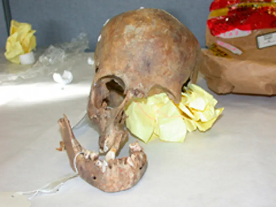 Cold Case Files - Wahre Fälle der US-Ermittler cold case files - wahre fälle der us-ermittler