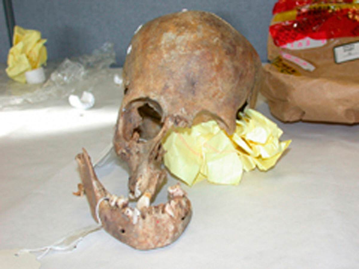 Cold Case Files cold case files