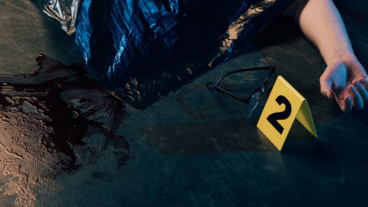 killer couples: mörderische paare