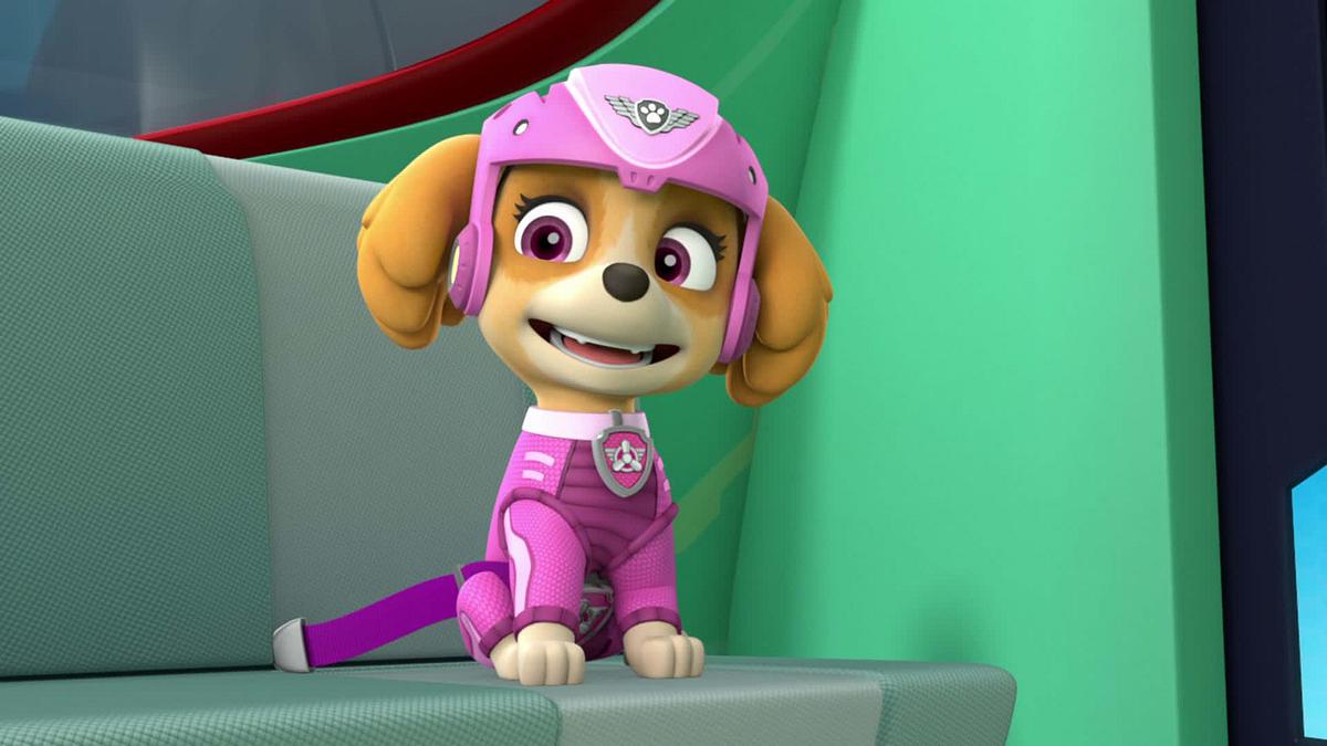 Paw Patrol - Helfer auf vier Pfoten paw patrol - helfer auf vier pfoten