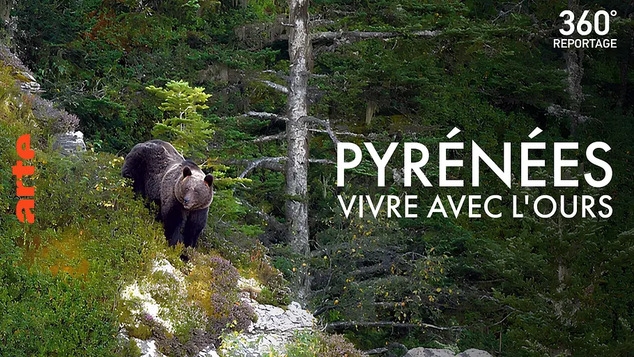 360° reportage