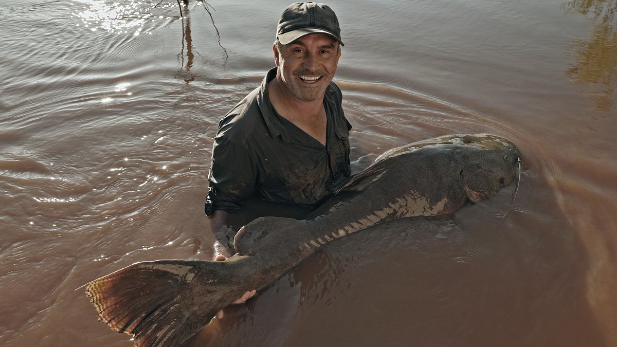 Giganten unter Wasser - Riesenfischen auf der Spur giganten unter wasser - riesenfischen auf der spur