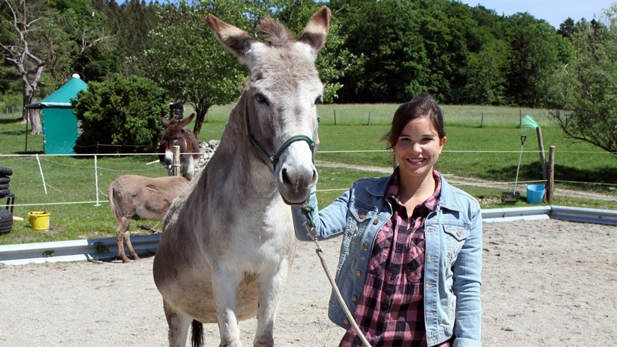 anna und die haustiere