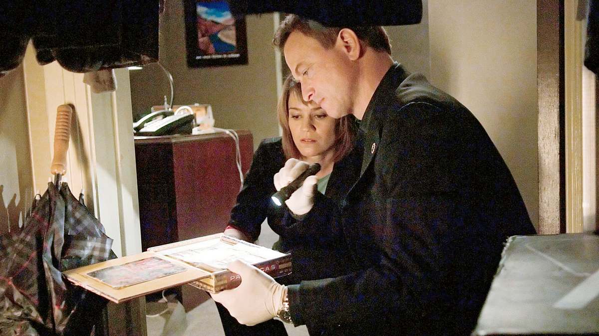 csi: ny