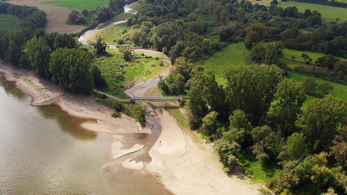 neues leben nach der ahrflut - die rückkehr der natur