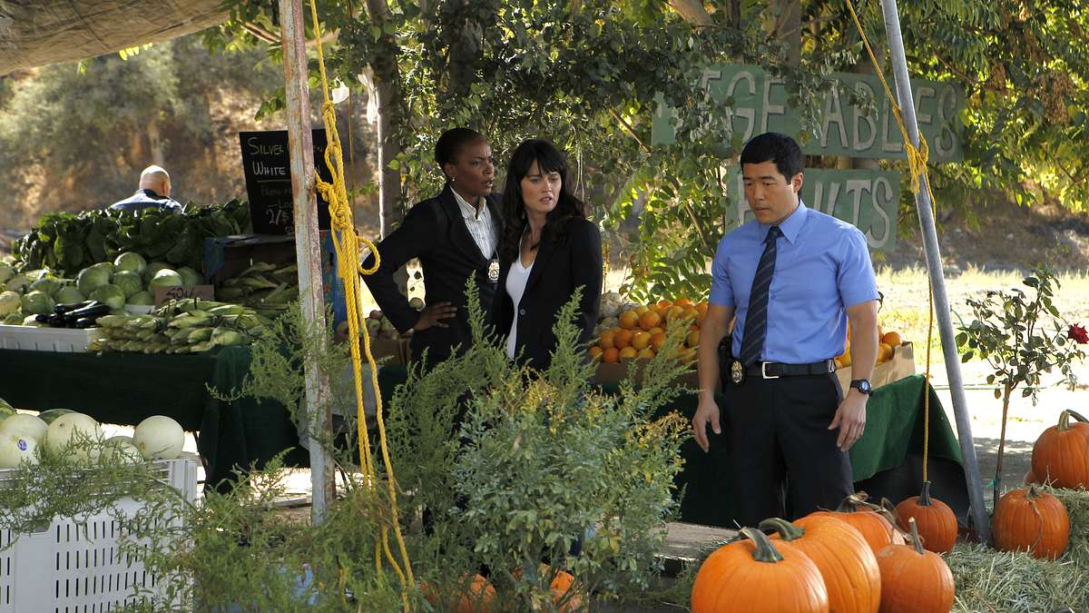 the mentalist