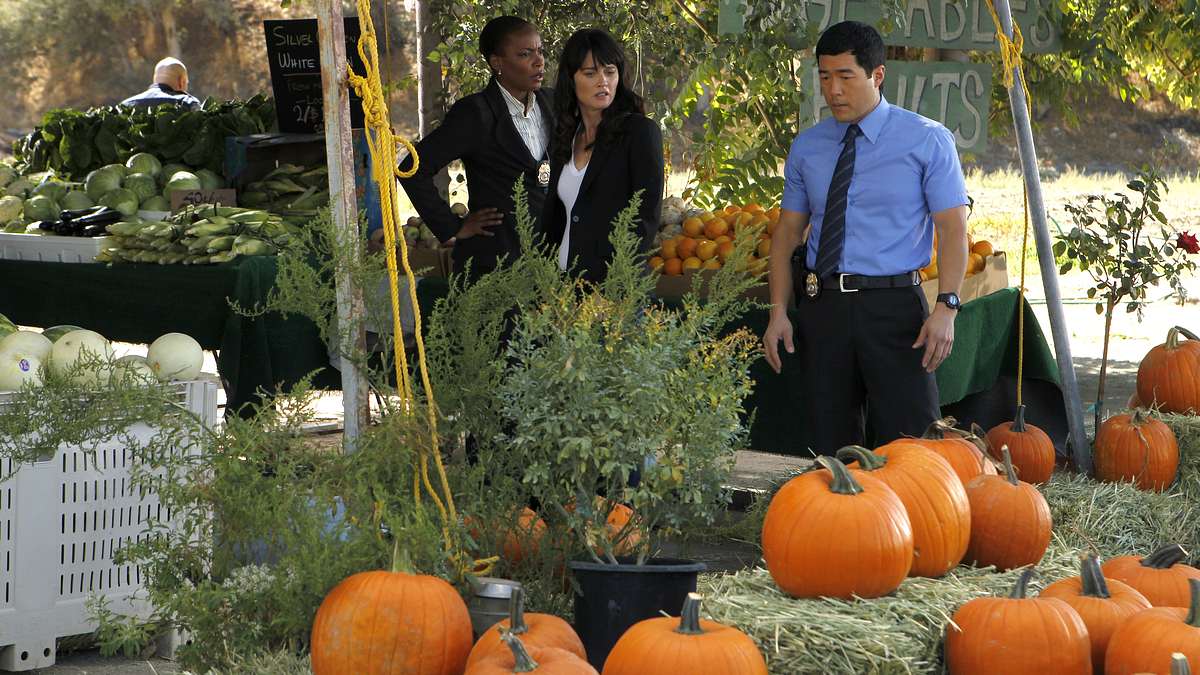 the mentalist