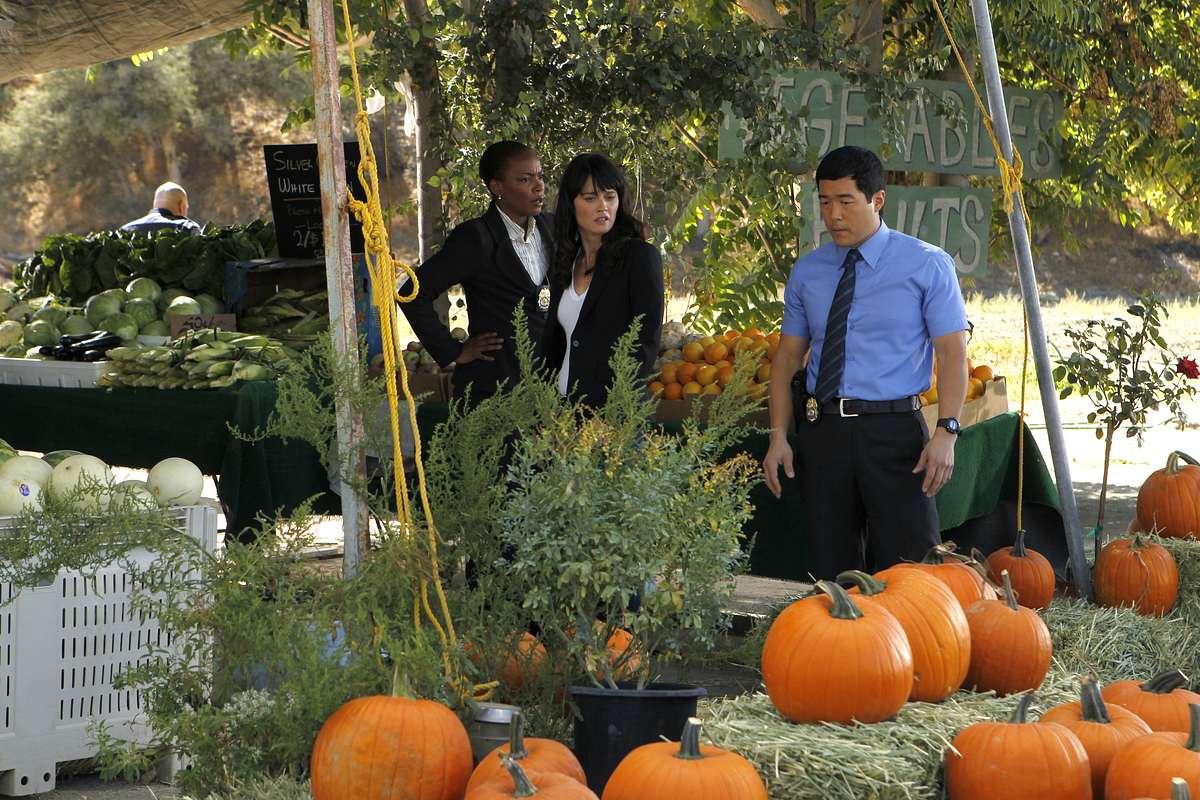 the mentalist