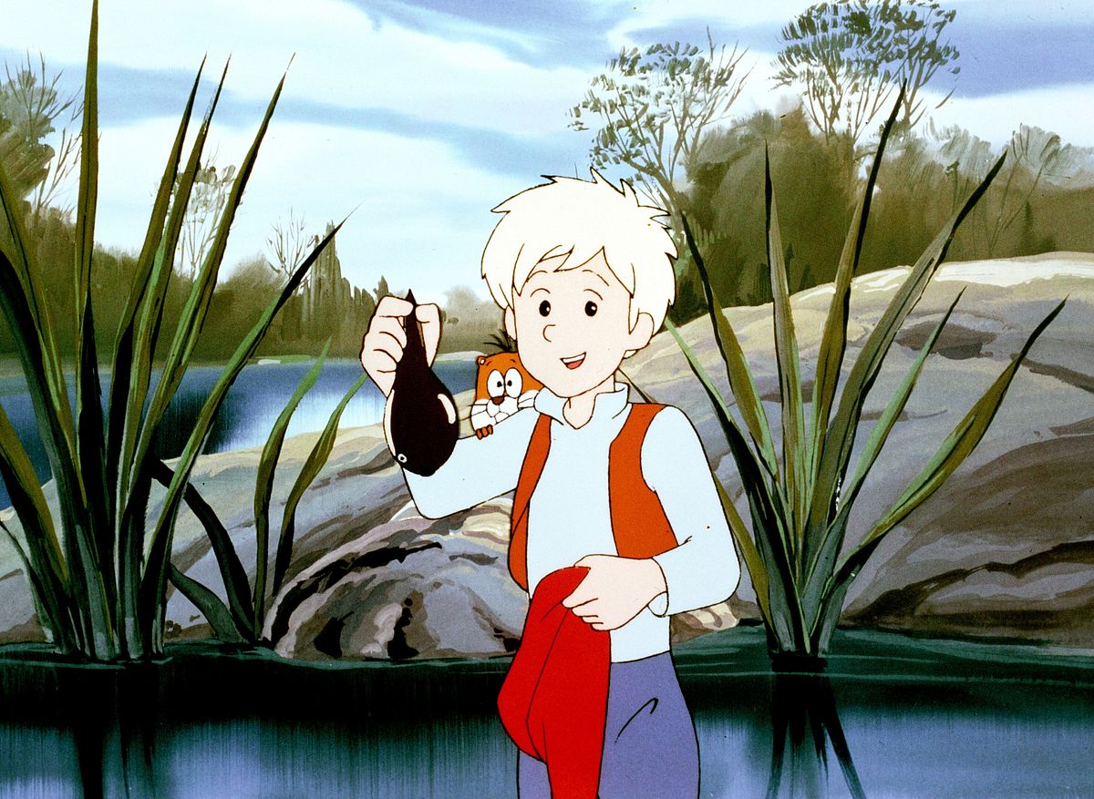 Wunderbare Reise des kleinen Nils Holgersson mit den Wildgänsen wunderbare reise des kleinen nils holgersson mit den wildgänsen