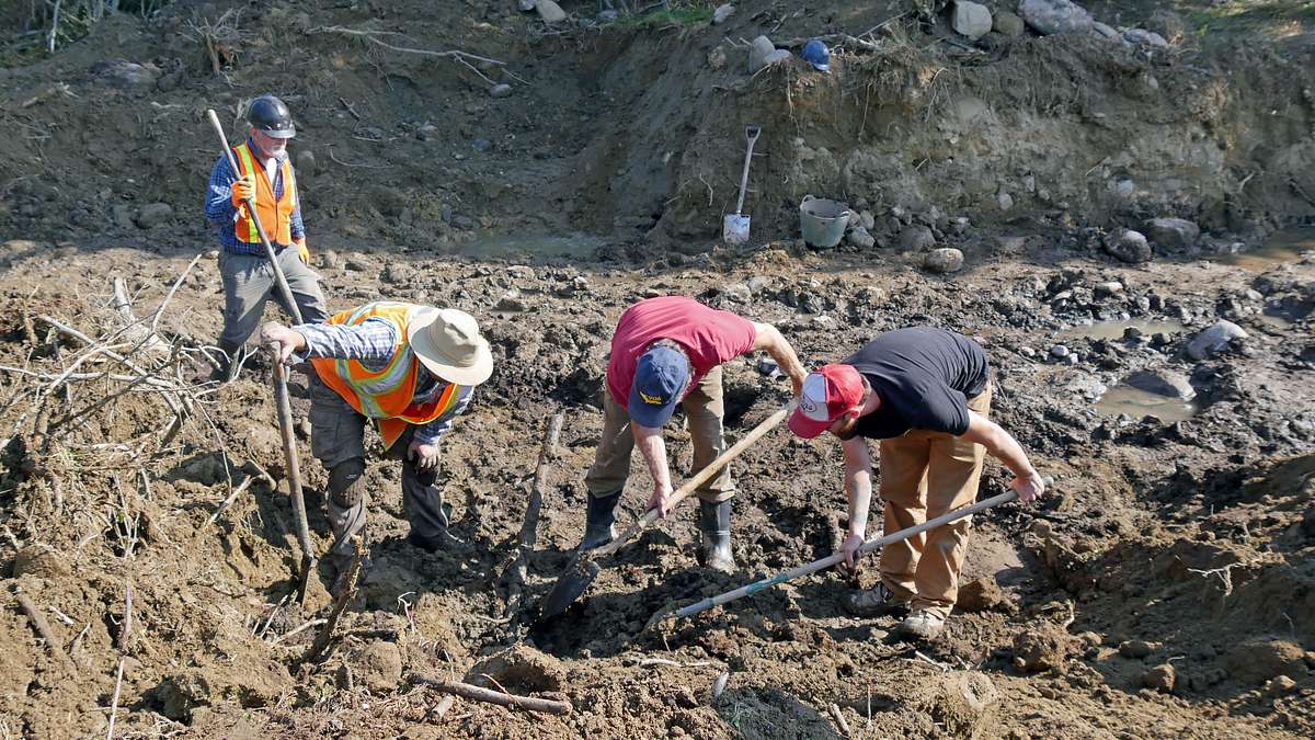 oak island - fluch und legende