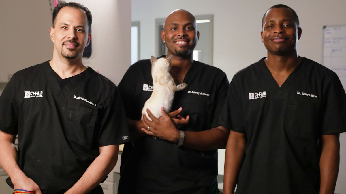 Die Tierärzte von Houston die tierärzte von houston