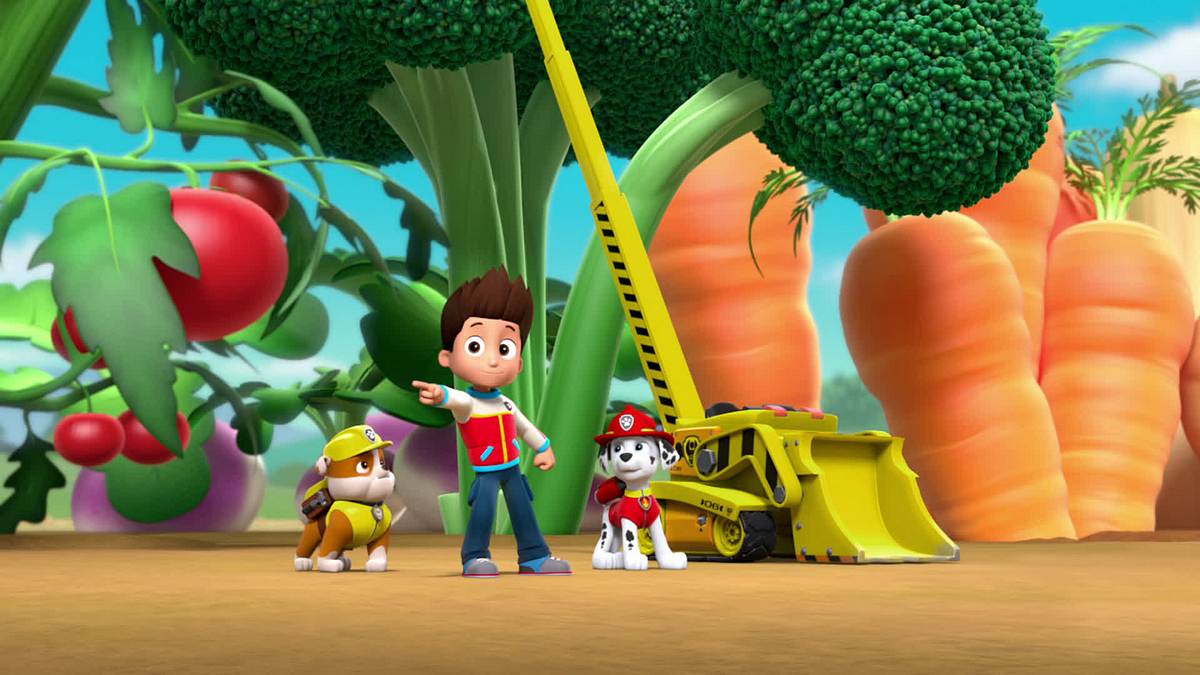 paw patrol - helfer auf vier pfoten
