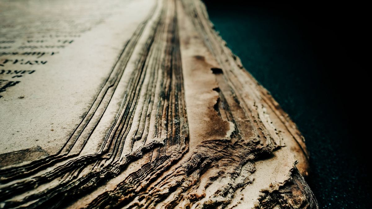 expedition files - der wahrheit auf der spur