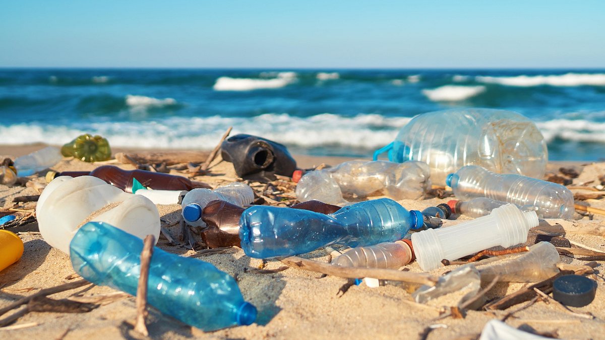 klimaschutz oder krawall?