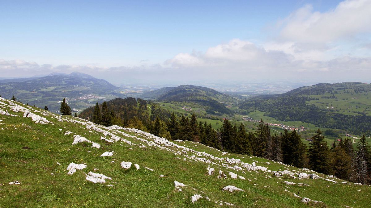 srf bi de lüt