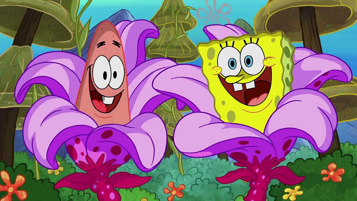 spongebob schwammkopf