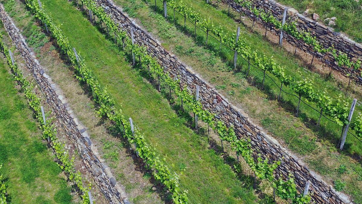 verborgene schätze - die andere wachau