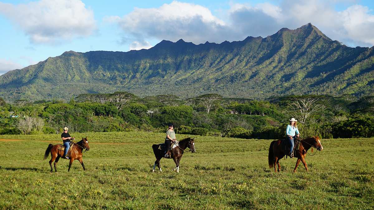 hawaii hunters
