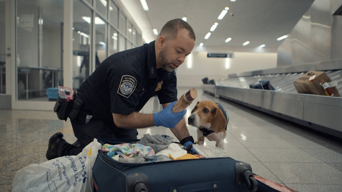 Airport Security airport security