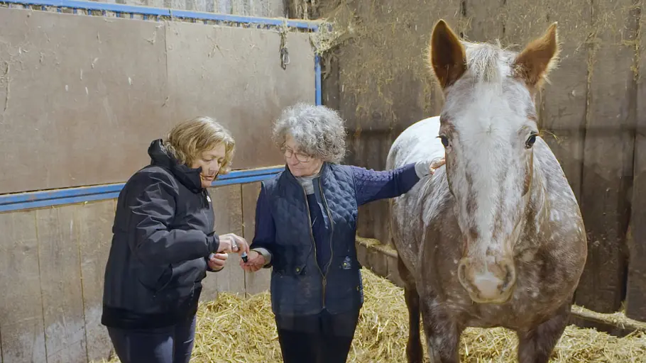 tierische doktoren