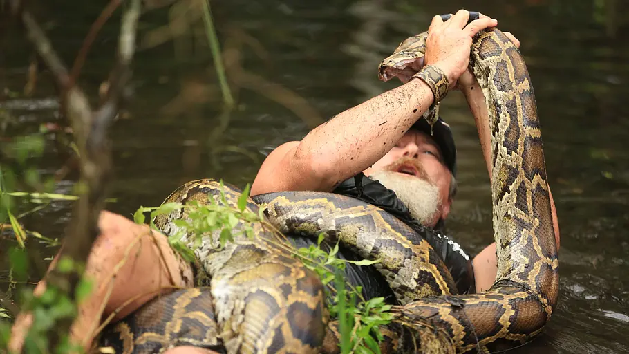Die Pythonjäger - Einsatz in den Everglades die pythonjäger - einsatz in den everglades