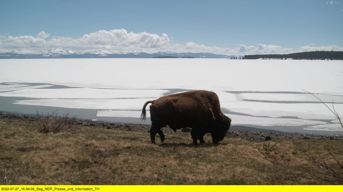 wyoming - im einsamen herzen amerikas