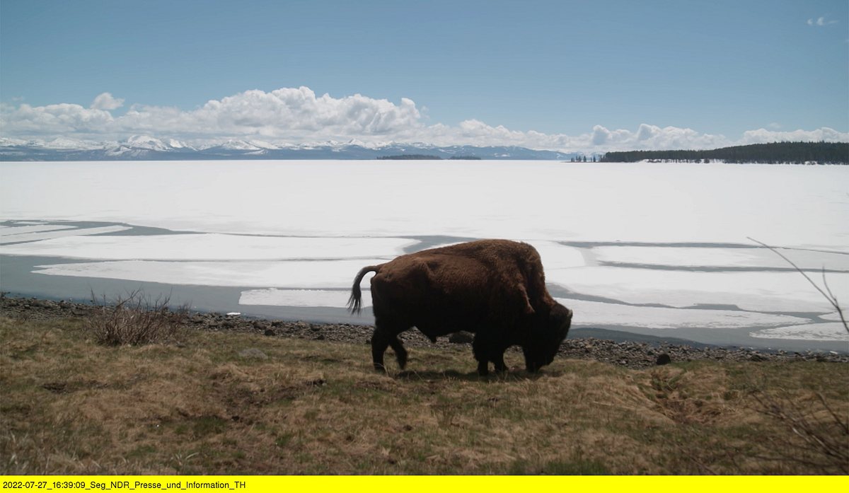 wyoming - im einsamen herzen amerikas