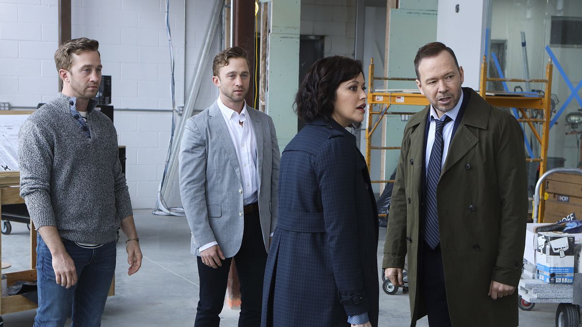 blue bloods - crime scene new york