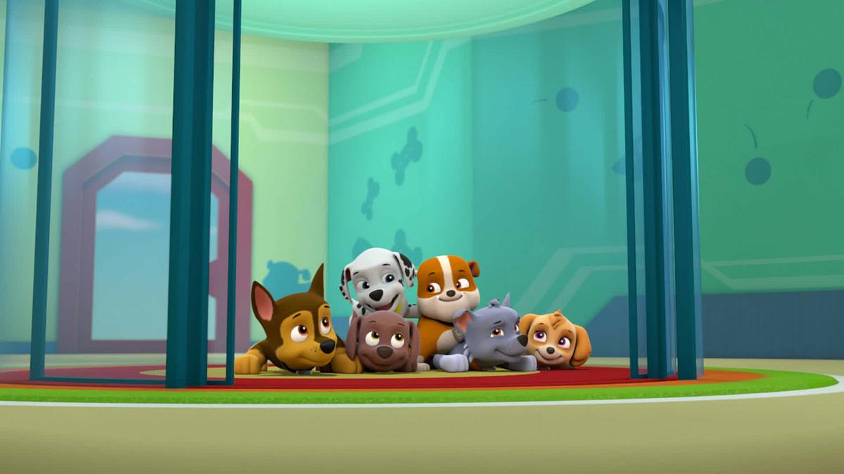 paw patrol - helfer auf vier pfoten