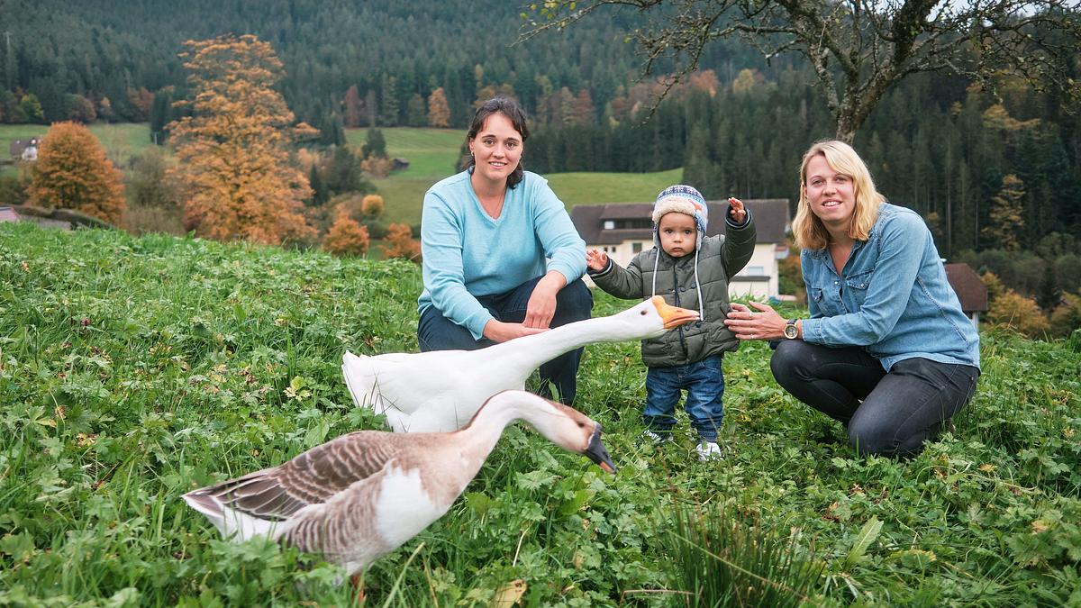 gemeinsam sind wir vielfalt