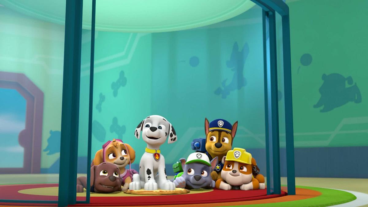 paw patrol - helfer auf vier pfoten