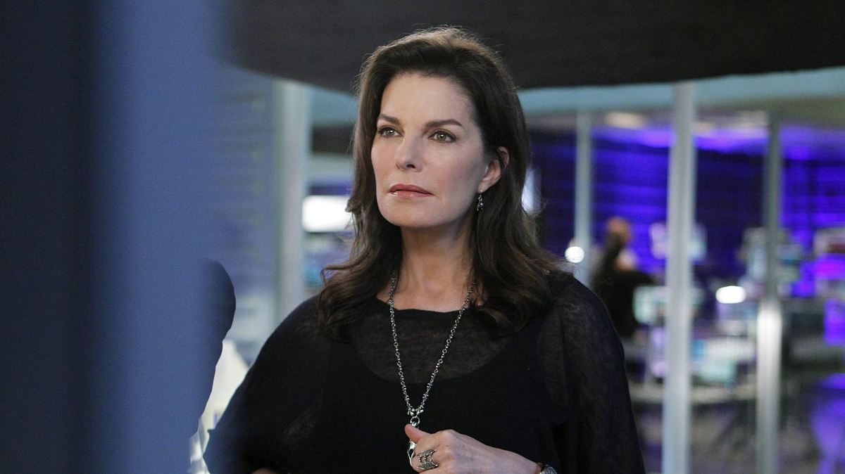 csi: ny