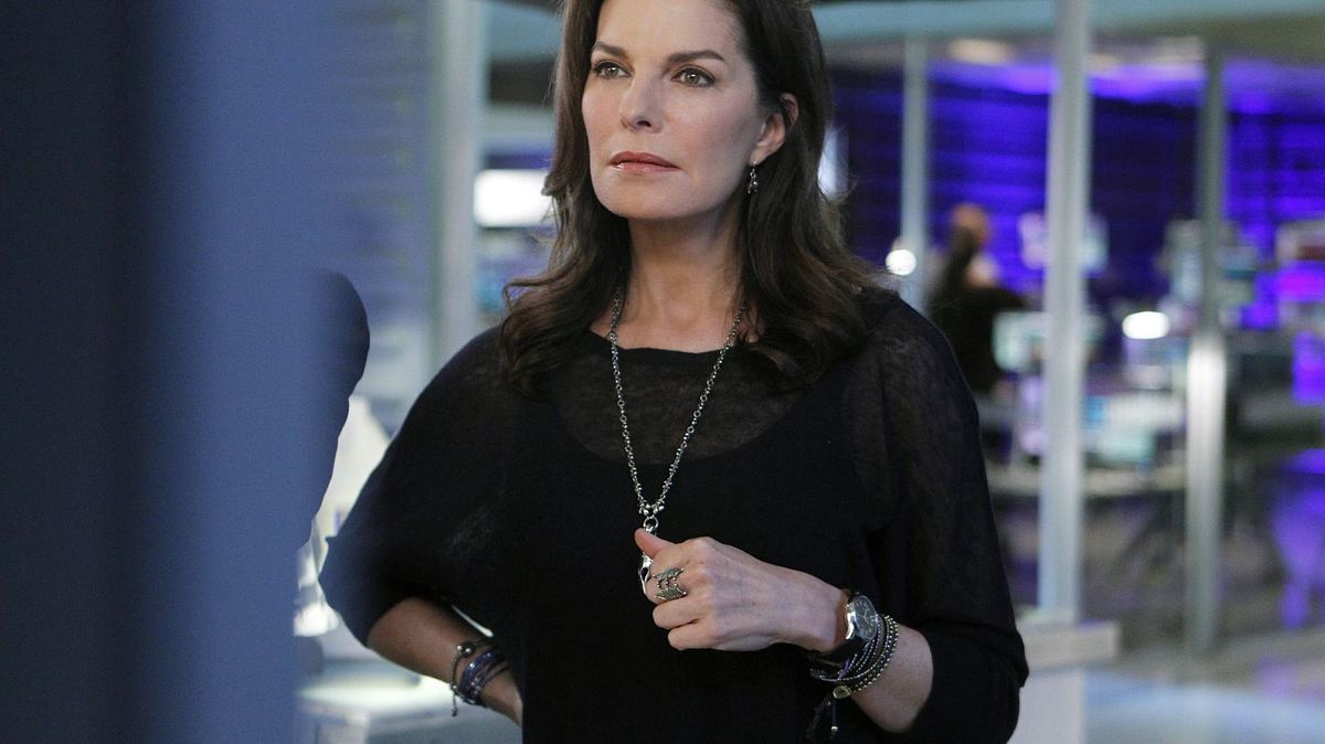 csi: ny