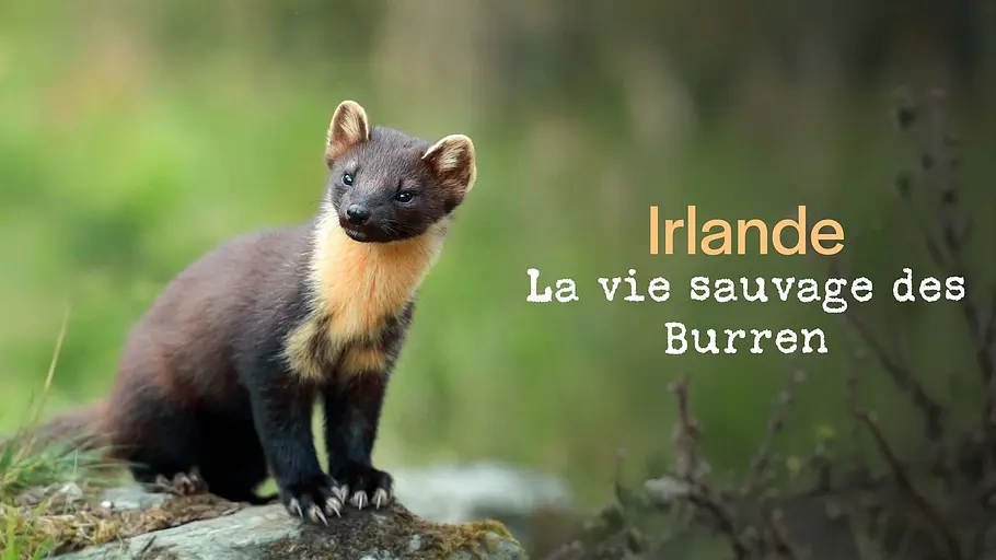 natura europa