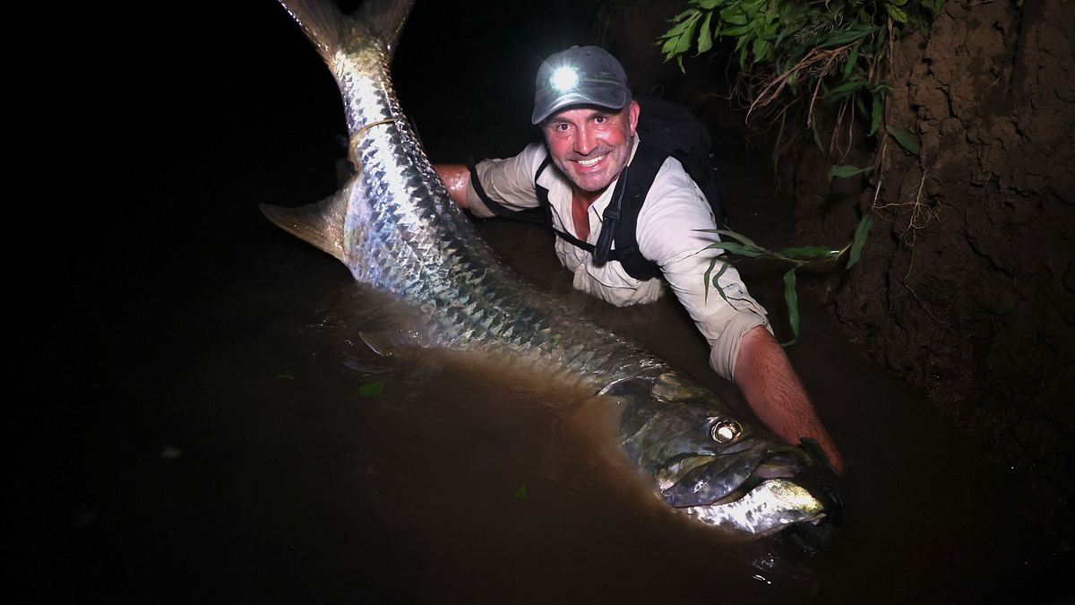 giganten unter wasser - riesenfischen auf der spur